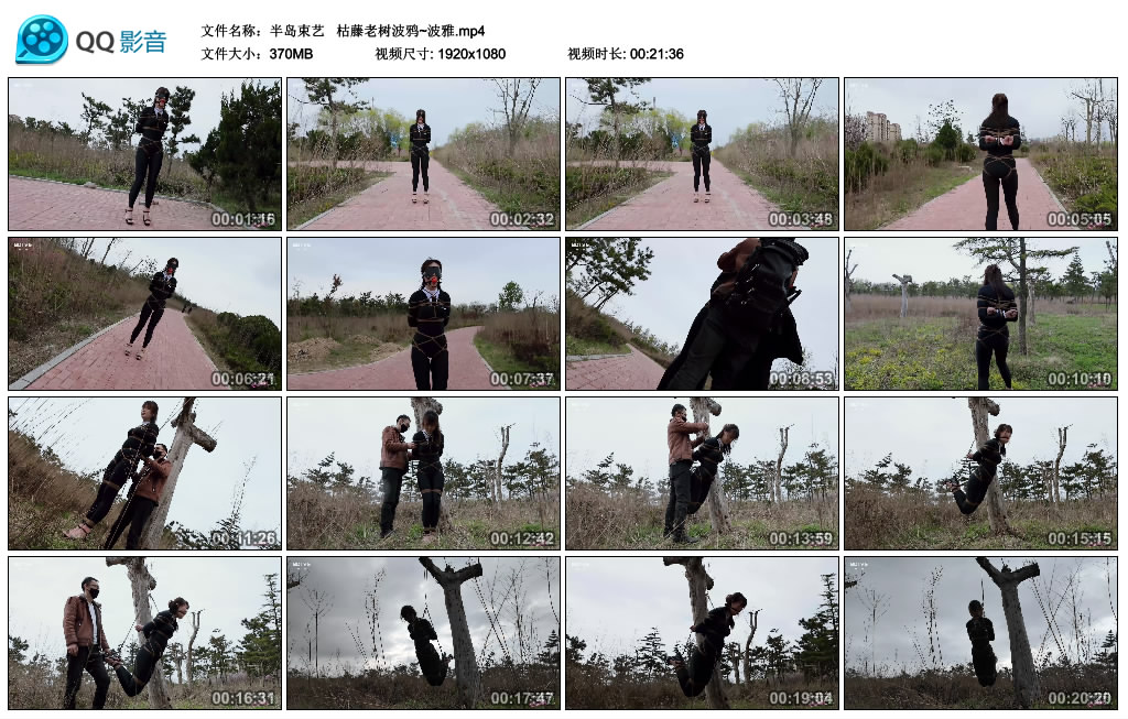 【半岛束艺】枯藤老树波鸦~波雅_绳艺库视频下载