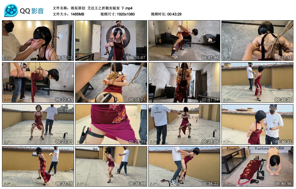 【雨辰原创】艾达王之折戟实验室下_绳艺库视频下载