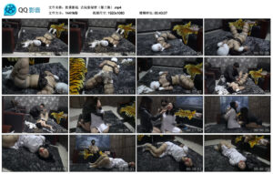 【胜景影视】古玩家秘密（第三集）_绳艺库视频下载