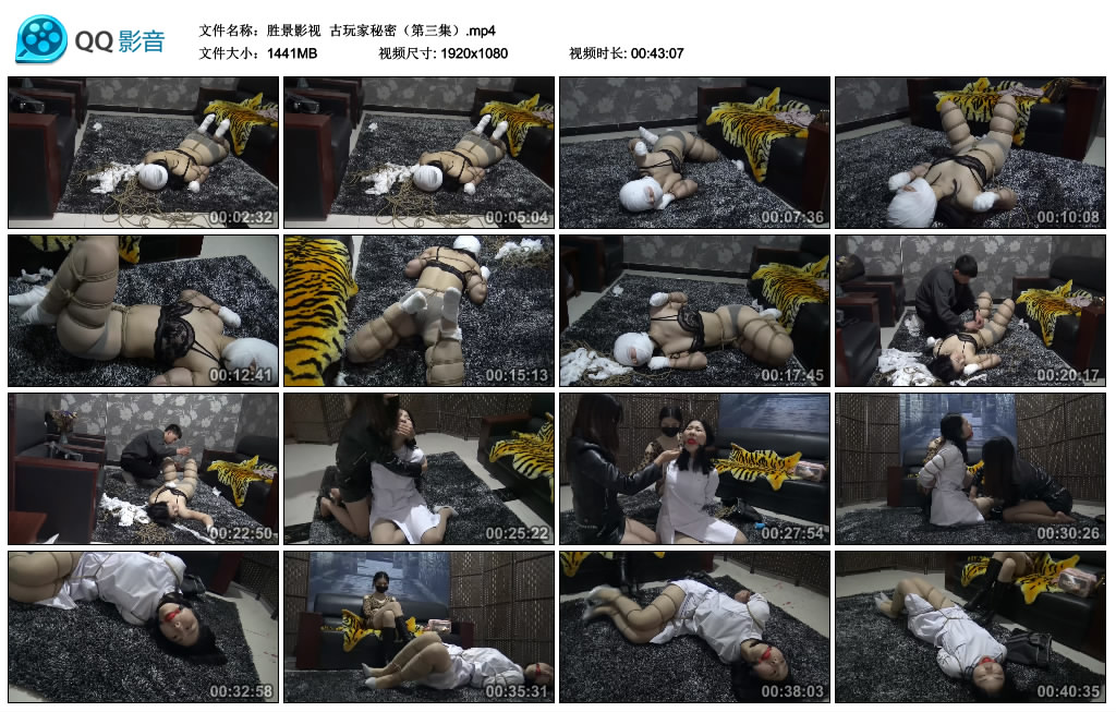 【胜景影视】古玩家秘密（第三集）_绳艺库视频下载