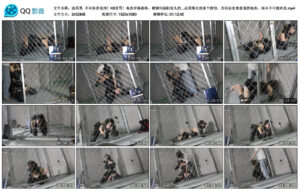 【面具男】不可休息电刑！K9责罚！_绳艺库视频下载