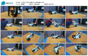 【飞天原创】18岁女生晓琳儿为了驷马练腰功_绳艺库视频下载