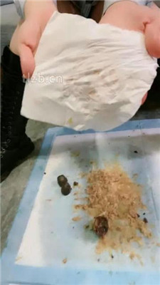 图片[9]-素人星探】20分钟不间断呕吐物-绳艺资源网