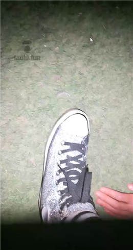 图片[1]-甜心 户外黄河边遛狗-绳艺资源网