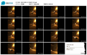 【夜未央】最终之作囚娘第三章_绳艺库视频下载