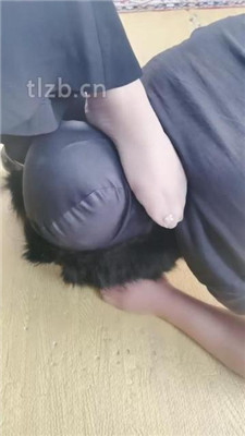 图片[11]-魔鬼天使】高跟碾压狗爪/强制闻鞋/磕头求饶/骑马爬-绳艺资源网