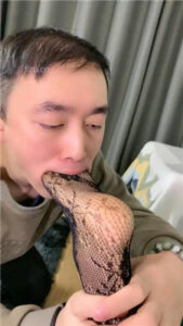 【肉肉】网袜美腿插嘴深喉_绳艺库视频下载