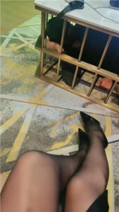 【咩祖】把狗圈养在茶几底下_绳艺库视频下载