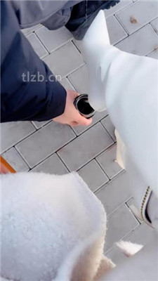 图片[8]-苒溪】公园开发相亲男做狗-HD绳艺资源网