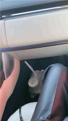 图片[7]-歌迪丝】户外餐厅-喝圣水/吃脏鞋底-HD绳艺资源网