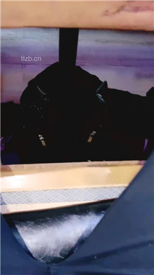 【芷镜】养生馆公开处刑踩狗【完整版】_绳艺库视频下载