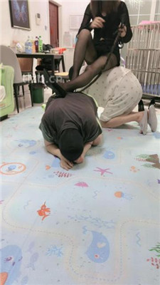 图片[3]-狠欣人】犬化羞辱双狗废物-重度踩踏下】