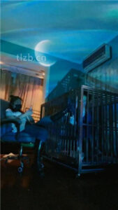 【语阳】狗笼圈养驯化前任_绳艺库视频下载