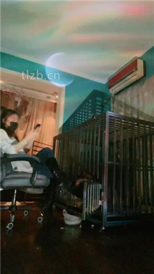 图片[3]-语阳】狗笼圈养驯化前任