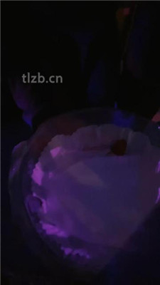 图片[7]-语阳】狗笼圈养驯化前任