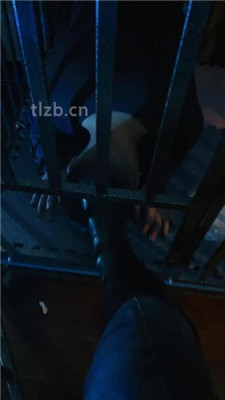 图片[8]-语阳】狗笼圈养驯化前任