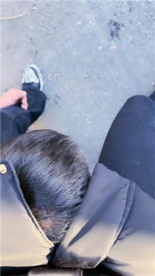 图片[8]-沐夏夜】户外景区溜双狗