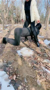 【高傲】户外训狗_绳艺库视频下载