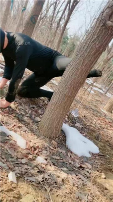 图片[17]-高傲】户外训狗-鞭打/浓痰/赏赐圣水/骑马