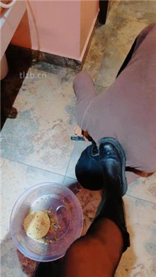 图片[2]-舒苒】用圣水做饭给狗吃完整版】