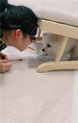 图片[7]-爱神】情侣奴犯贱-艺术踢踹/脚喂食/sp/吃浓痰