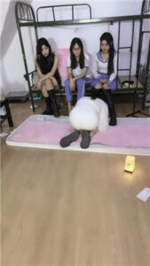 【天津女仆店】3S_绳艺库视频下载