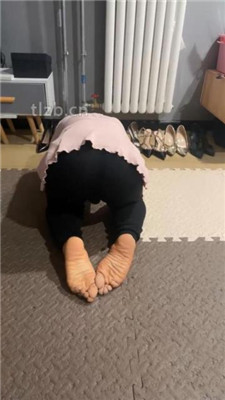 图片[9]-薇娅】圈养生活犬化训练下】