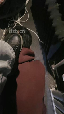 图片[2]-冰诺】重度虐打惩罚偷懒家奴