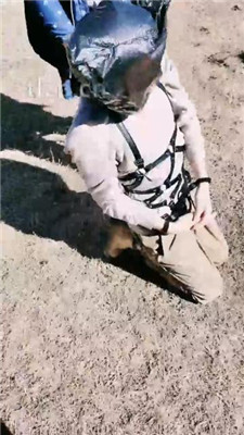 图片[4]-若澜女主】户外窒息狗/踩踏被玩晕