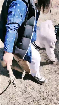 图片[5]-若澜女主】户外窒息狗/踩踏被玩晕