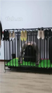 【凌儿女神】白领S_绳艺库视频下载