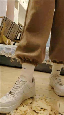 图片[3]-樱樱】双S-俄罗斯混血S-踩面包-踩狗四】