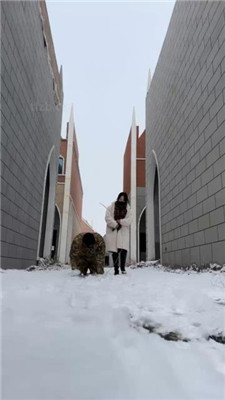 【辣姐】冰天雪地虐狗被路人偶遇_绳艺库视频下载