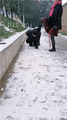 图片[2]-乐爷】野外-冰天雪地-遛狗艺术