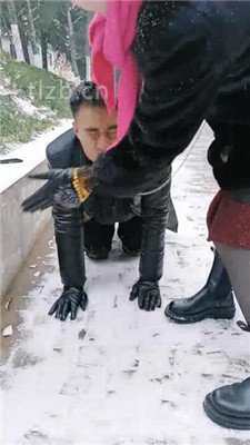 图片[3]-乐爷】野外-冰天雪地-遛狗艺术