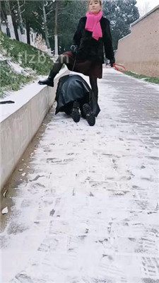 图片[4]-乐爷】野外-冰天雪地-遛狗艺术