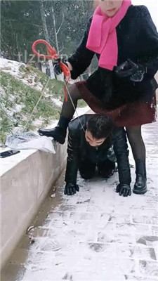 图片[6]-乐爷】野外-冰天雪地-遛狗艺术