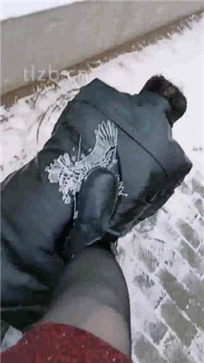 图片[8]-乐爷】野外-冰天雪地-遛狗艺术