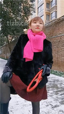 图片[9]-乐爷】野外-冰天雪地-遛狗艺术