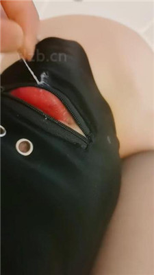 图片[6]-白狐】圈养犬化训练