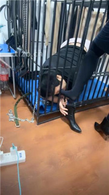 【冰色】狗笼圈养跪舔高跟原味脚_绳艺库视频下载