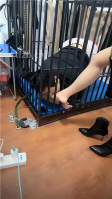 图片[2]-冰色】狗笼圈养跪舔高跟原味脚