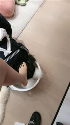 图片[15]-美美子】牛奶浴足舌头保养/混合升水洗脚水强制喝到饱