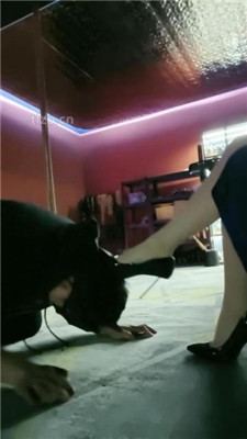 图片[2]-咩祖】肉丝脚狂舔/高跟踩狗舌/清理脚趾/臭脚捂脸