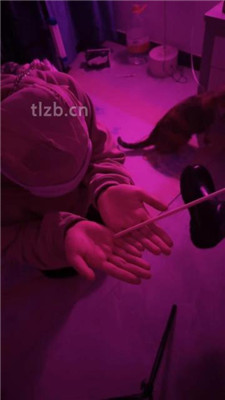 图片[2]-璐璐大王】圈养M跪舔长靴踩踏/重度sp