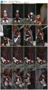 芝士的郊狼驷马~_绳艺库视频下载