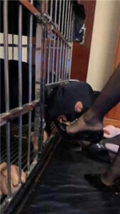 【夏梦】双S_绳艺库视频下载