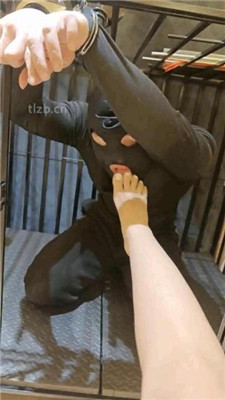 图片[14]-稚惜】狗笼囚禁犬化贱奴