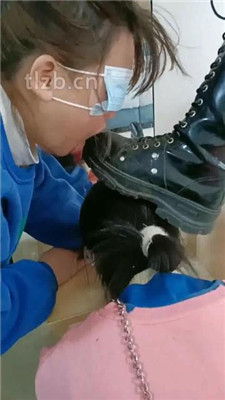 图片[5]-爱可呀】开发素人考研学姐调双母畜下】