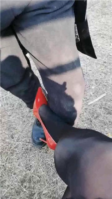 图片[7]-乐姐】摩天轮给狗废物上课